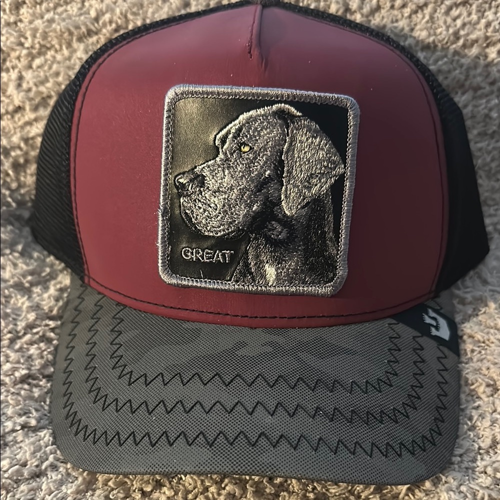 Goorin Bros Limited Release Great Dane trucker hat NWT - Picture 3 of 10